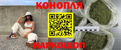 молекула духа Камышлов