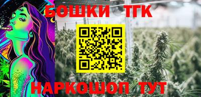 молекула духа Камышлов