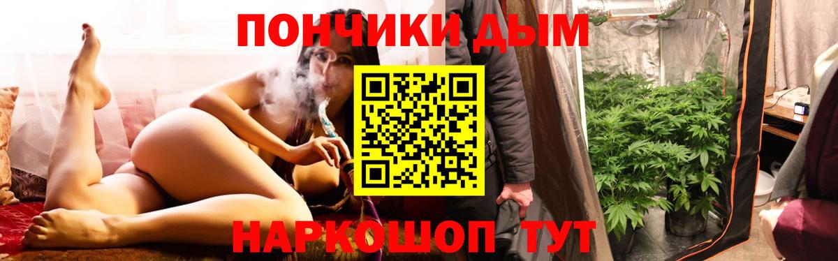 Кувандык  МАРИХУАНА планчик  Марихуана план  Вход с VPN  Конопля гибрид 